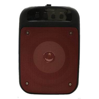 Haut Parleur Bluetooth -...