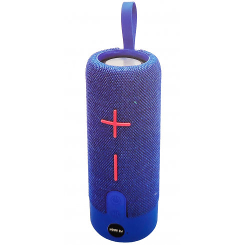 Haut Parleur Home DJ TG312 Bleu