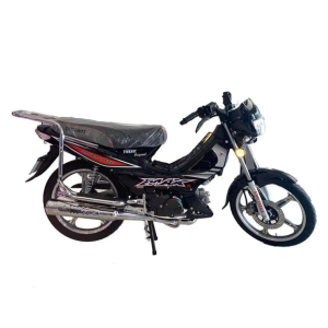 Moto Forza MAX Plus - 107 cc - Noir